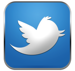Иконка Twitter Иконка Twitter