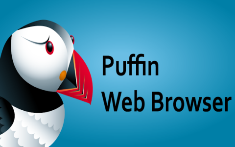Puffin Web Browser