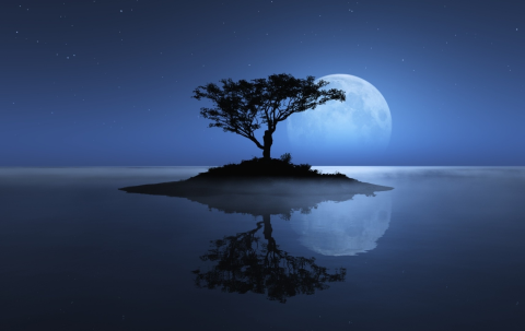 Night Shadow - Скриншот 1 Night Shadow - Скриншот 1