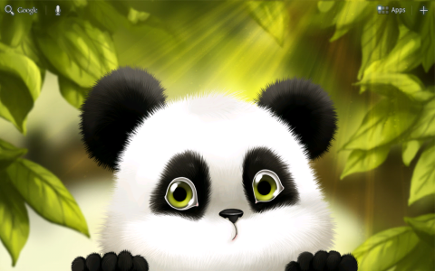 Panda Chub Live Wallpaper