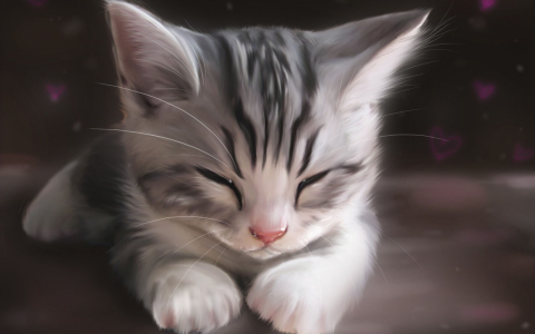 Спящий котёнок