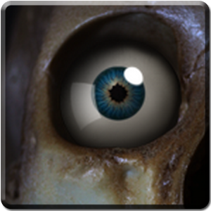 Skeleton Eye