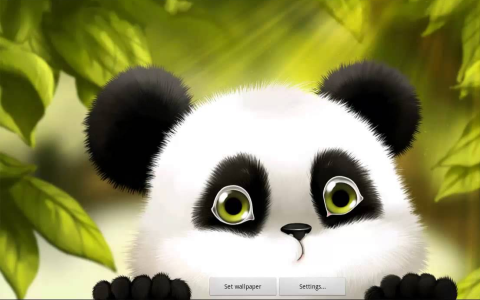 Panda Chub Live Wallpaper - Скриншот 2 Panda Chub Live Wallpaper - Скриншот 2