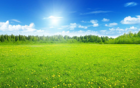 Countryside LWP