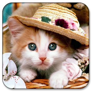Иконка Cat HD Иконка Cat HD