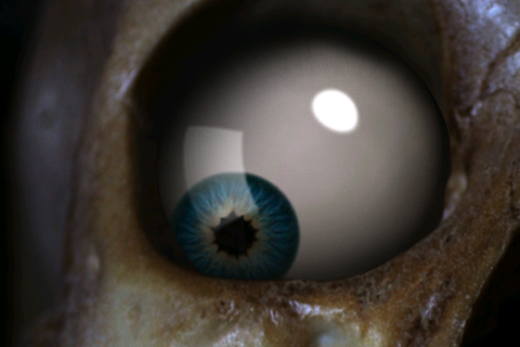 Skeleton Eye - Скриншот 1 Skeleton Eye - Скриншот 1