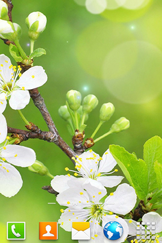 Капли воды на цветах - Скриншот 1 Капли воды на цветах - Скриншот 1
