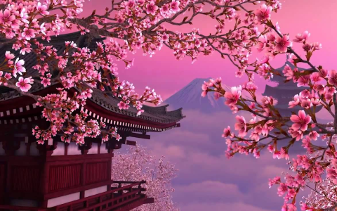 Sakura