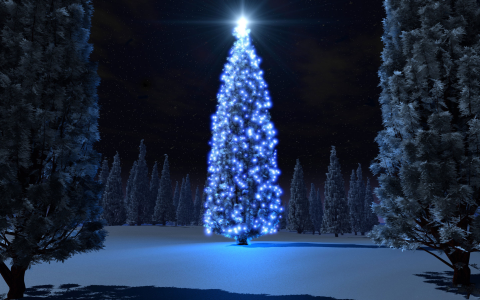 Christmas Magic