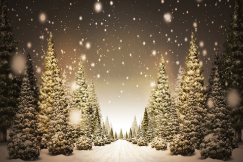 Christmas Magic - Скриншот 1 Christmas Magic - Скриншот 1