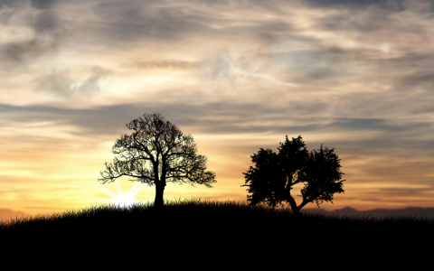 Sun Rise