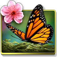 Иконка Season Zen HD Иконка Season Zen HD
