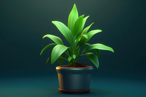 My 3D Plant