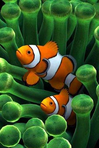 Sim Aquarium Live Wallpaper - Скриншот 2 Sim Aquarium Live Wallpaper - Скриншот 2