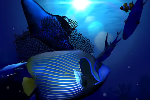 Ocean Blue 3D Live Wallpaper