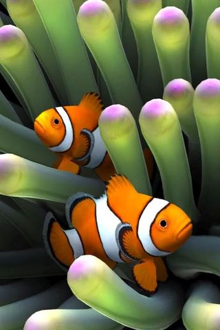 Sim Aquarium Live Wallpaper - Скриншот 1 Sim Aquarium Live Wallpaper - Скриншот 1