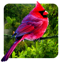 Иконка 3D Birds Parallax Иконка 3D Birds Parallax
