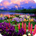 Иконка Valley of Flowers Иконка Valley of Flowers