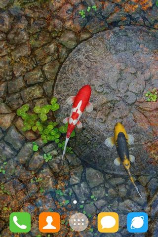 Water Garden Live Wallpaper - Скриншот 2 Water Garden Live Wallpaper - Скриншот 2