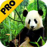 Иконка 3D Animals Parallax Иконка 3D Animals Parallax
