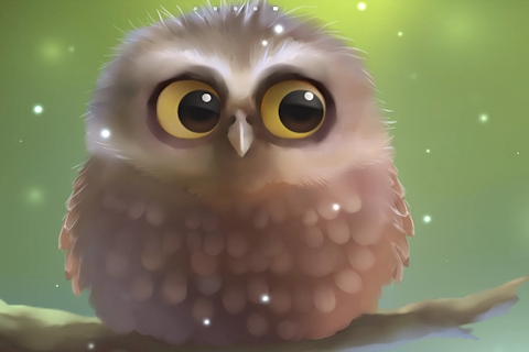 Little Owl