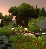 Amazing Forest: Summer
