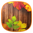 Иконка Autumn Time Иконка Autumn Time