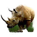 Иконка Rhinos Africa Иконка Rhinos Africa