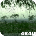 Иконка 4K Rain Video Wallpaper Иконка 4K Rain Video Wallpaper