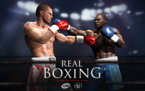 Real Boxing