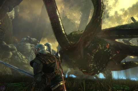The Witcher 2: Assassins of Kings