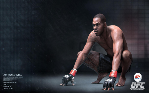 EA Sports: UFC