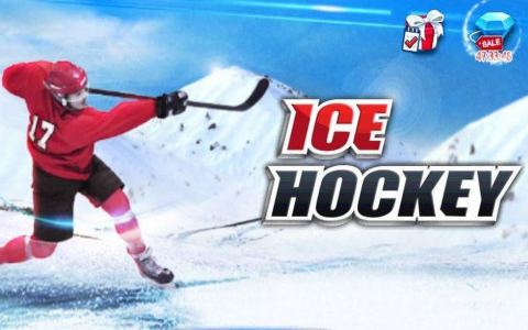 One Timer Ice Hockey