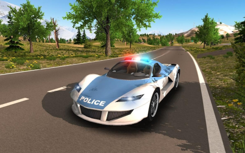Police Car Driving Offroad