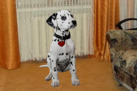 Pocket Pets GO - Скриншот 1 Pocket Pets GO - Скриншот 1