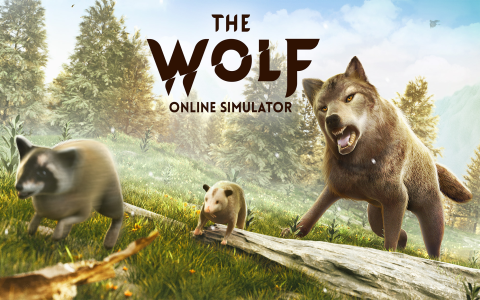 Обложка игры