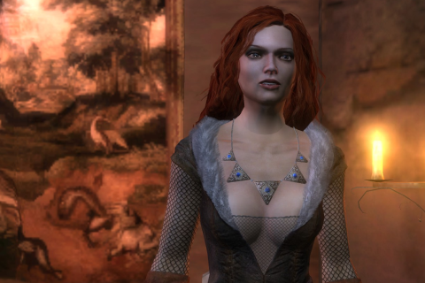 The Witcher - Скриншот 1 The Witcher - Скриншот 1