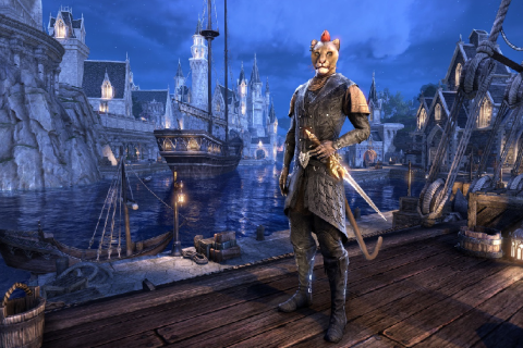 The Elder Scrolls: Online - Скриншот 1 The Elder Scrolls: Online - Скриншот 1