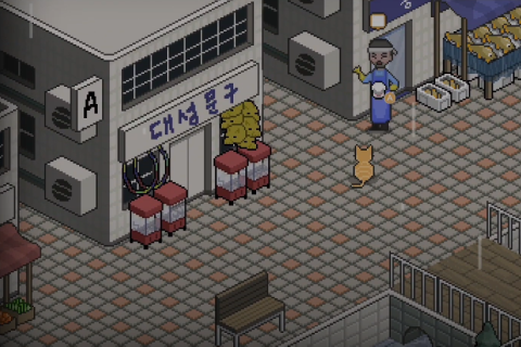 A Street Cat's Tale