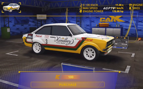 CarX Rally - Скриншот 1 CarX Rally - Скриншот 1