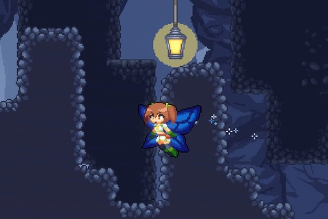 Wife Quest
