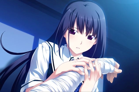 The Fruit of Grisaia