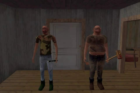 The Twins