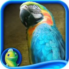 Иконка Amazon: Hidden Expedition Иконка Amazon: Hidden Expedition
